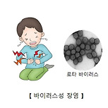 바이러스성 장염