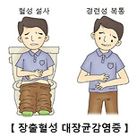 장출혈성 대장균 감염증