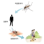 지카 바이러스 감염증