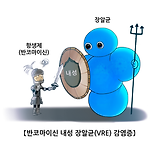 반코마이신 내성 장알균(VRE) 감염증