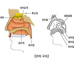 후각장애, 미각장애