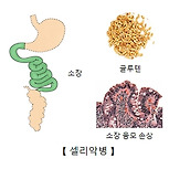 셀리악병