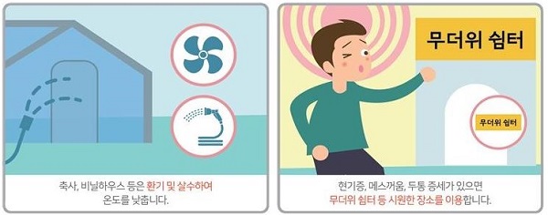 폭염발생 시 행동요령