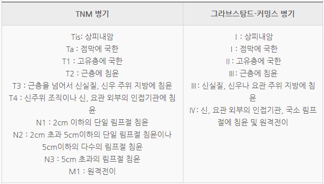 신우암의 병기