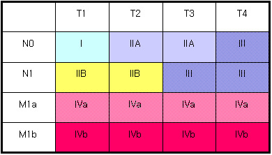 식도암의 병기 - T1, T2, T3, T4, NO : I, IIA, IIA, III, N1 : IIB, IIB, III, III, M1a : IVa, IVa, IVa, IVa, M1b : IVb, IVb, IVb, IVb