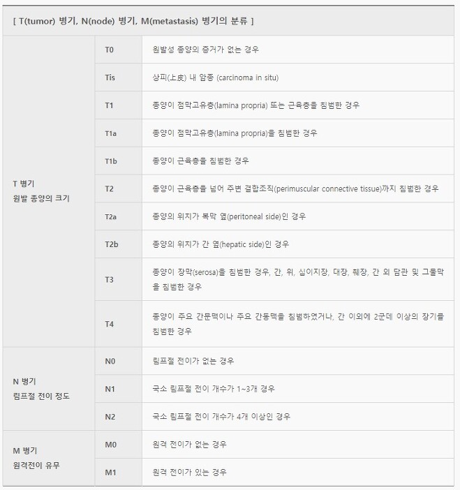 T(tumor) 병기, N(node) 병기, M(metastasis) 병기의 분류