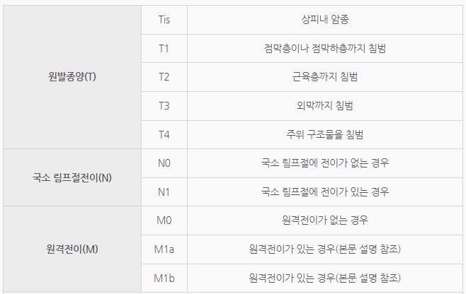 식도암의 병기 