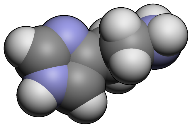 히스타민(histamine)