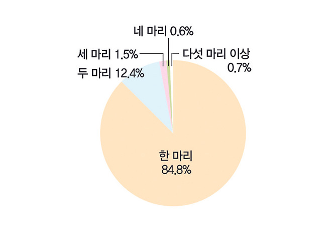 몇 마리의 개를 키우고 있습니까?