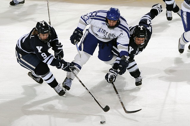 아이스하키(ice hockey)