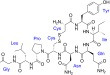 Oxytocin