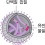 바이러스의 일반적 구성