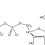 아데노신삼인산(adenosine triphosphate/ATP)