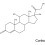 코르티코이드