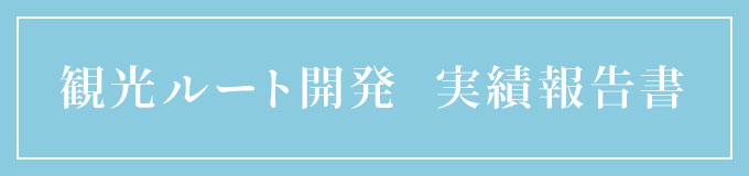 観光ルート開発  実績報告書