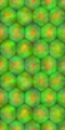 AITAHexagons4.png