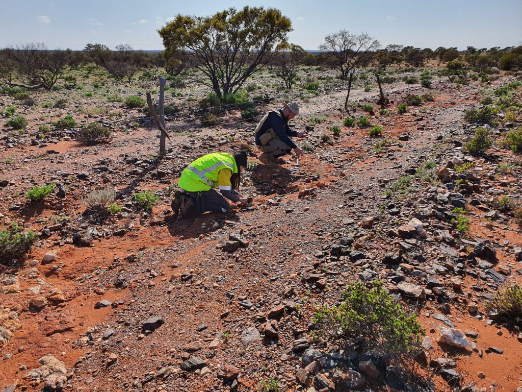 Men Working in the Field