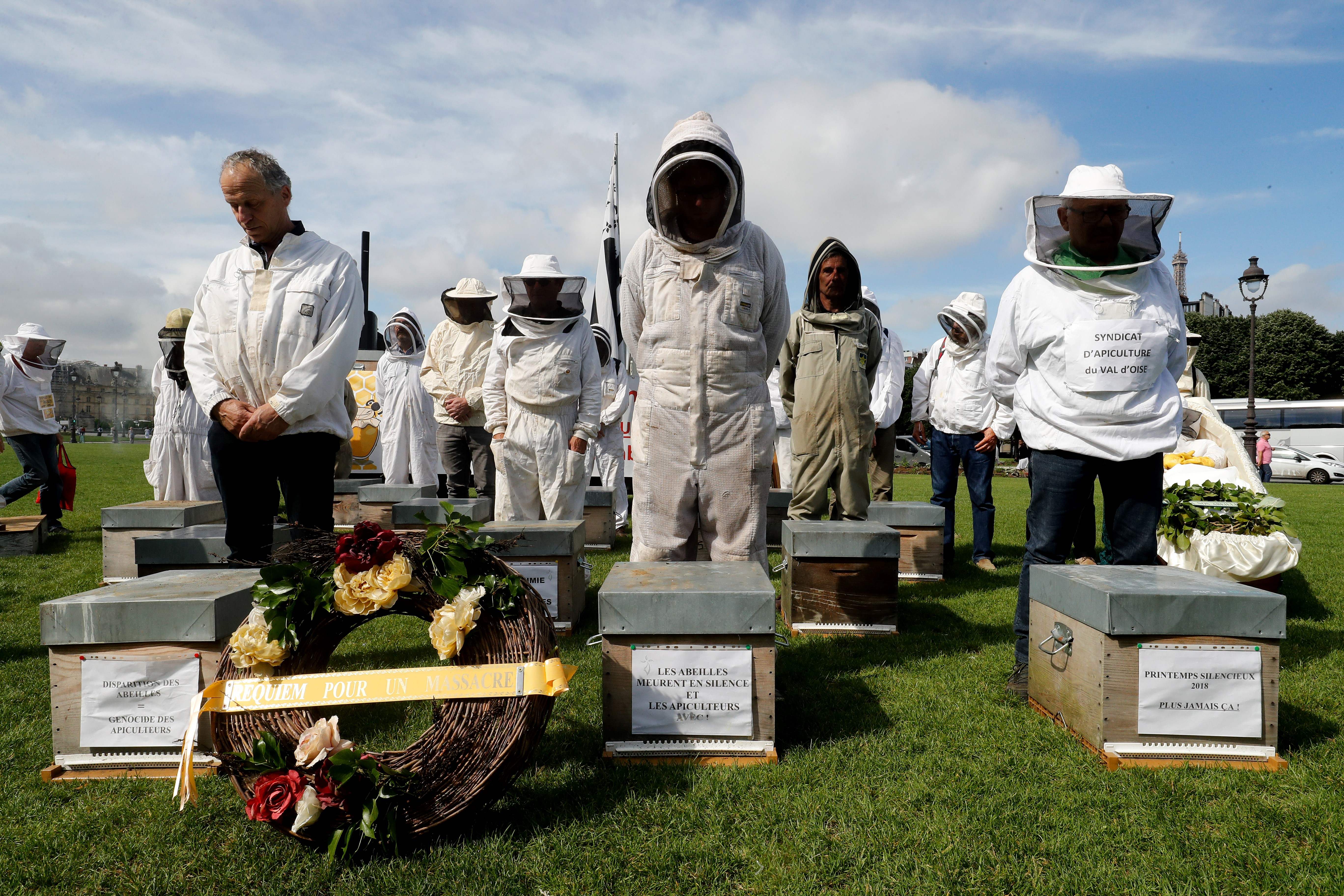 Beekeepers take part in a demonstration at the Esplanade des Invalides in Paris on June 7, 2018, during a national day of action of French beekeepers. - The National Union of French Apiculture (Union Nationale de lApiculture Francaise - UNAF) and the French Federation of Professional Beekeepers (Federation Française des Apiculteurs Professionnels - FFAP) have called for a national day of action to ask the State and the President of the Republic to launch an exceptional support plan for French beekeepers and to restore a viable environment for bee colonies and pollinators. (Photo by FRANCOIS GUILLOT / AFP)        (Photo credit should read FRANCOIS GUILLOT/AFP via Getty Images)