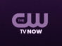 The CW TV show ratings (cancel or renew?)