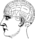 Phrenology.png