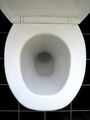 Toiletbowl.jpg