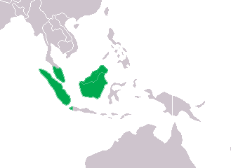 File:Tomistoma schlegelii Distribution.png