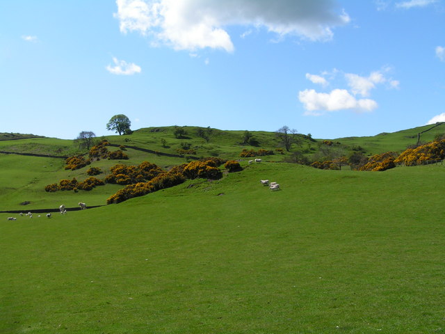 File:Dunguile Hill (site of fort) - geograph.org.uk - 1297818.jpg