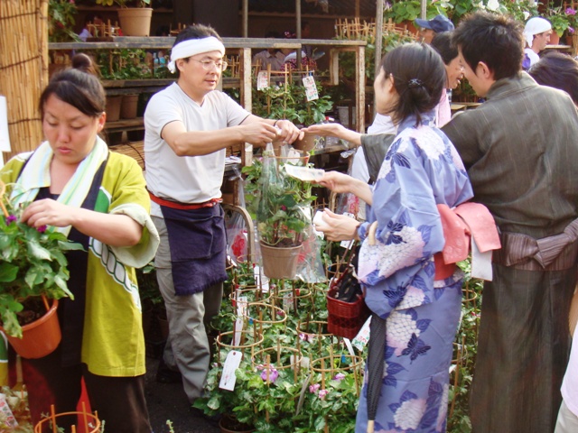 File:Asagao Festival 004.JPG