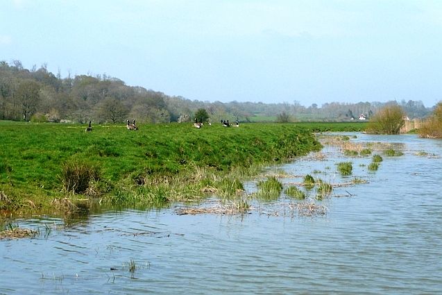 File:Arun journey - geograph.org.uk - 804368.jpg