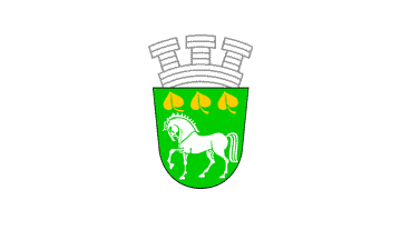 File:Flag of Krumovgrad.gif