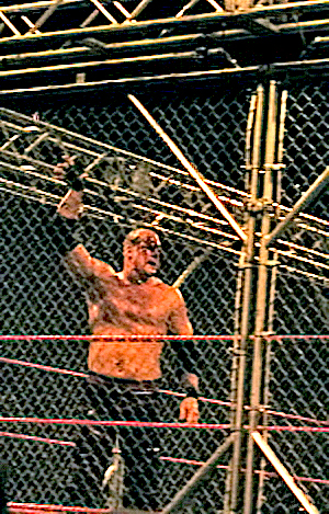 File:Steel Cage.jpg