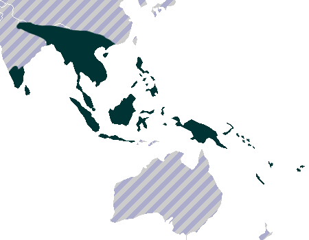 Coelogyne range map