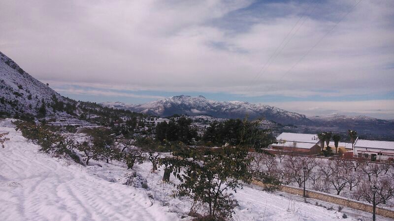 File:Almudaina nevat - 2.jpeg