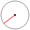 Radius (red line)