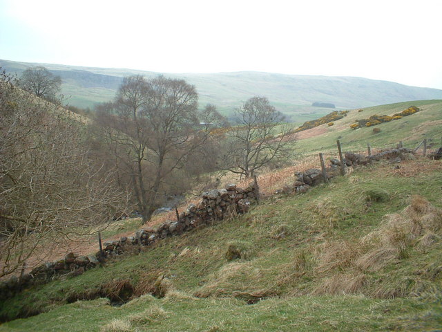 File:Gonachan Glen - geograph.org.uk - 165959.jpg