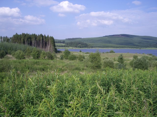 File:Carron Valley Reservoir - geograph.org.uk - 199288.jpg