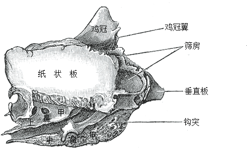 File:Gray152 zh.png