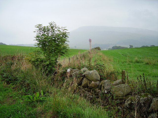 File:Hill of Balgair - geograph.org.uk - 254174.jpg