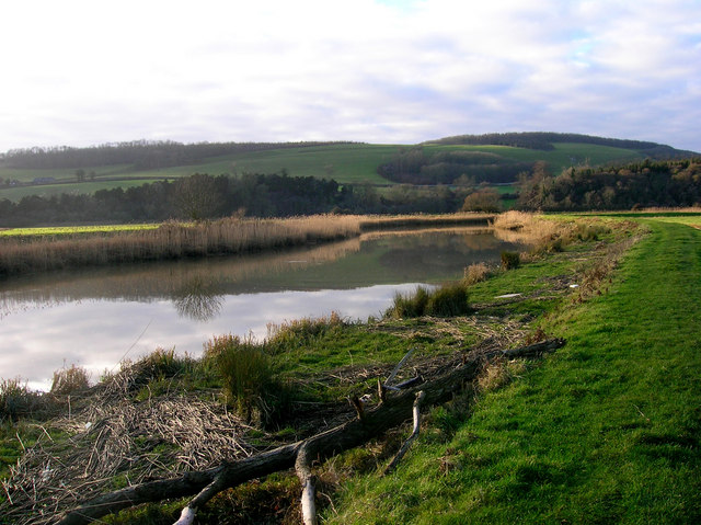 File:River Arun - geograph.org.uk - 644123.jpg