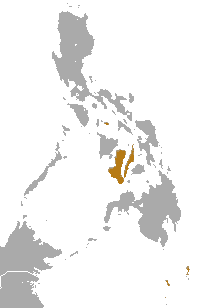 File:Philippine Tube-nosed Fruit Bat area.png