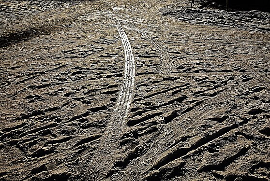 Car trace in the snow