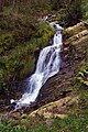 * Nomination Small unnamed waterfall in Belgium, hautes fagnes --Grunpfnul 18:33, 7 October 2024 (UTC) * Promotion  Support Good quality. --Plozessor 03:30, 8 October 2024 (UTC)