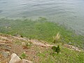 Lago titicaca- Ilha do sol.