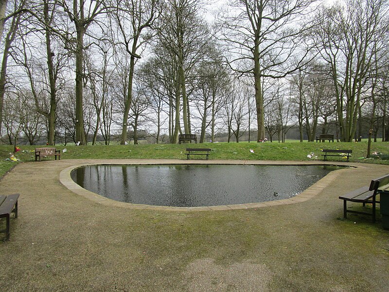 File:Pond at Bretby Crematorium - geograph.org.uk - 4393639.jpg