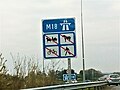 M18 shield with no horses, pedestrians, cyclists or horse-drawn vehicles