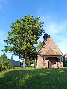 Catherine Chapel with remarkable linden-tree