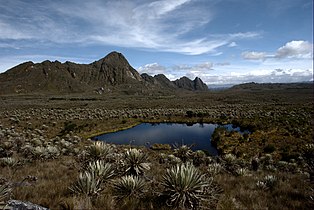 Sumapaz Paramo, the largest paramo ecosystem worldwide