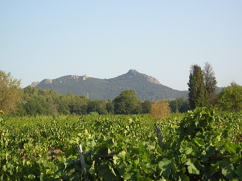 File:Fenouillet pano.JPG