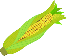 Icon corn cob