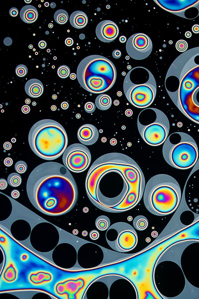 File:Lipid Islands on Soap Bubble.jpg